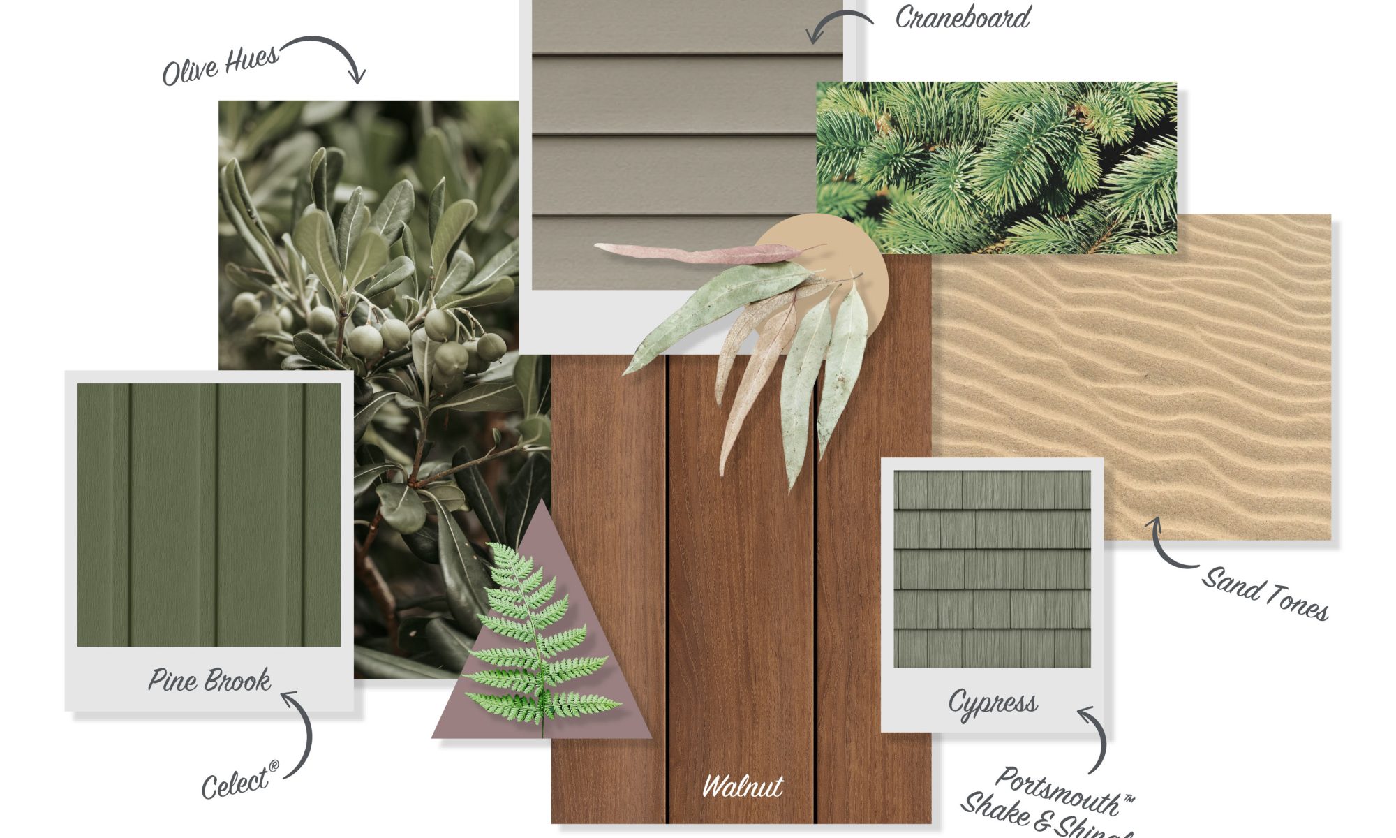 Color Trends for 2024, mood board, earthy shades